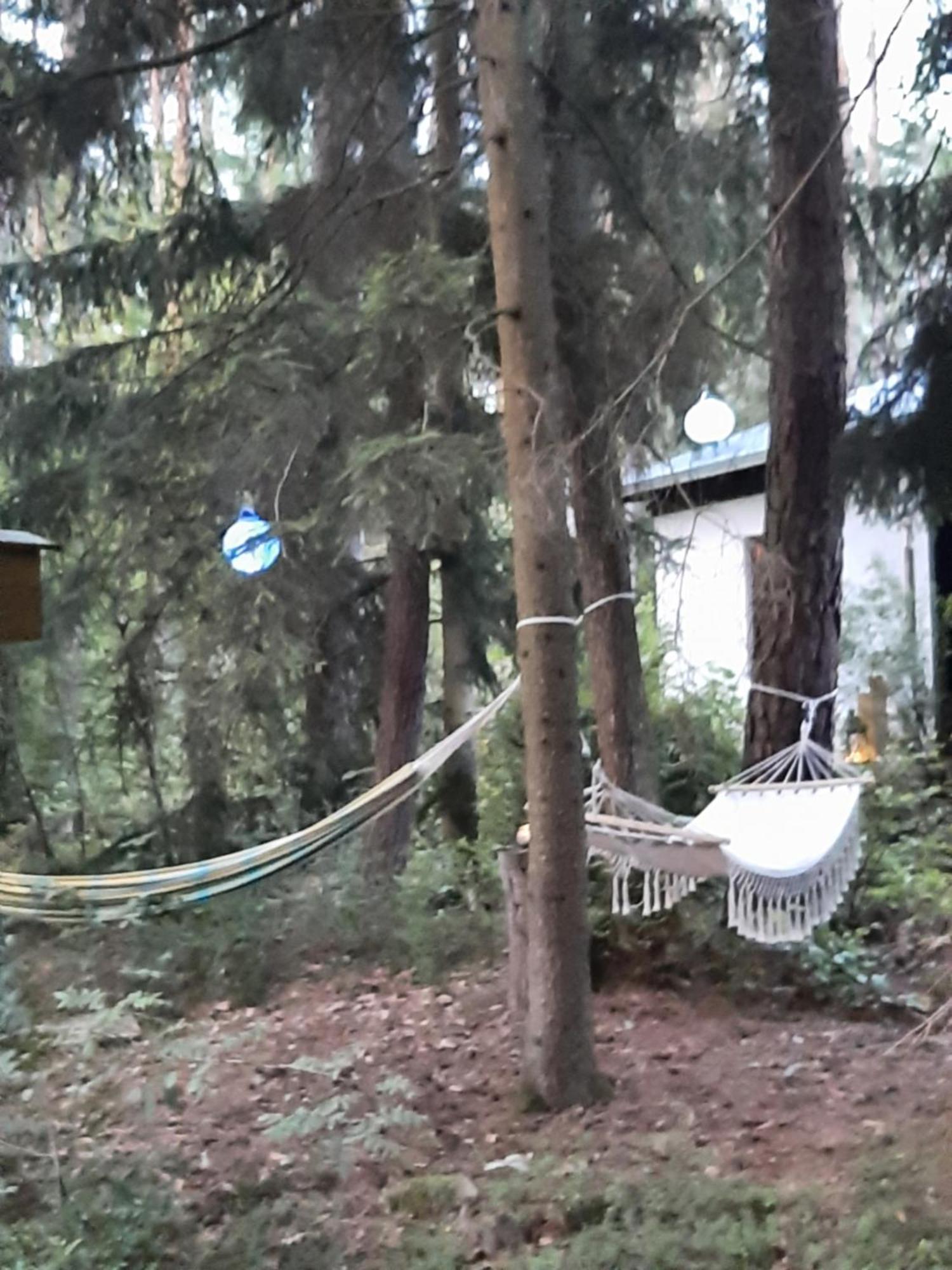 Bungalow Direkt Am See, Mit Eigenem Boot ローディング エクステリア 写真